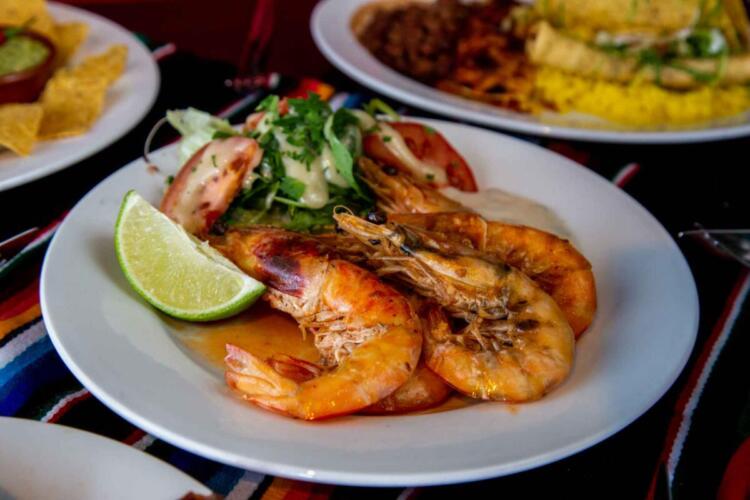 plate of king prawns and salad